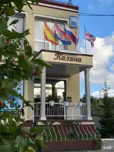 Калина - 29