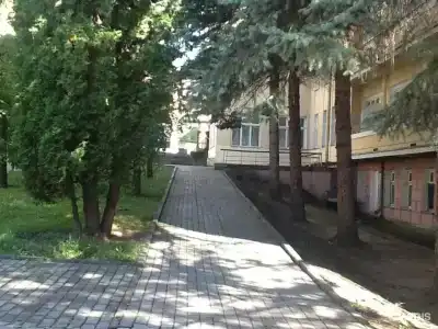 Родина - 24