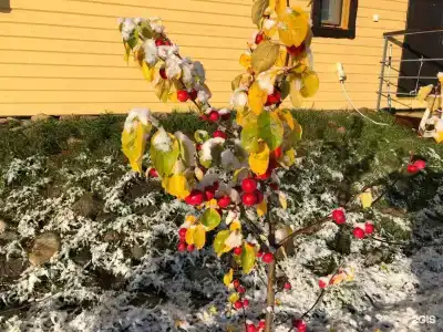 Шлем - 64