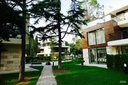 Арфа - 30