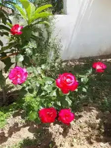 Коттеджи на Рублевке - 3