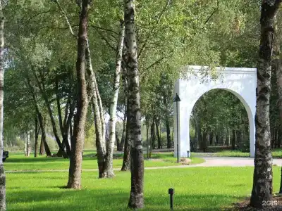 Белые Аллеи - 22