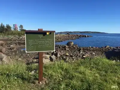 Кедр Грасс Белое Море - 124