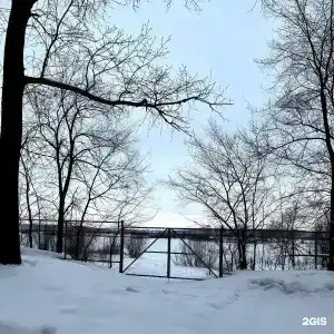 Займище - 50