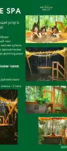 Легенды Леса - 114