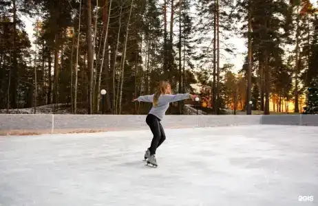 Чайка - 90