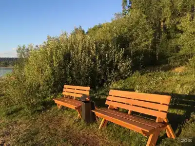 Поляна - 22