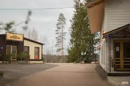 Дрова - 11