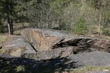 Сканди - 47