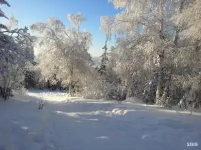 Путешественник - 17