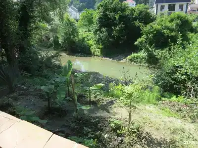 Добрый кит - 39