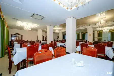 Кипарис - 121