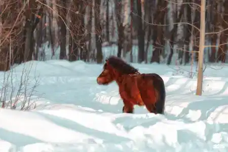 Экстрим Лэнд - 150