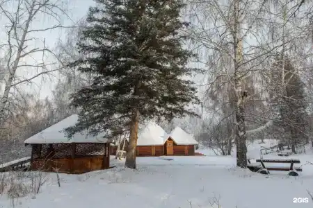 Тюнгур - 52