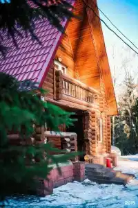 Cosmos Красное Озеро - 20