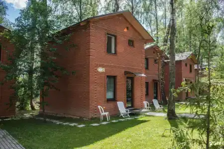 Золотая рыбка - 23