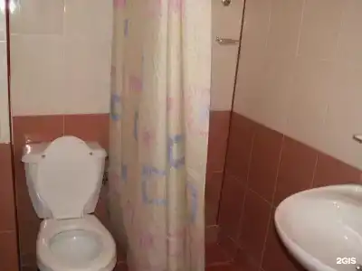 Пальмира - 66
