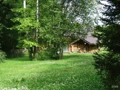 Дубки - 43