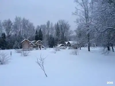 Дубки - 70