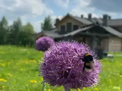 Усадьба Долгорукий - 22