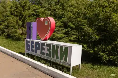 Березки - 64