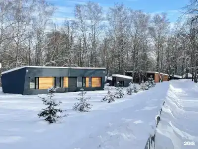 Серебряный век - 43
