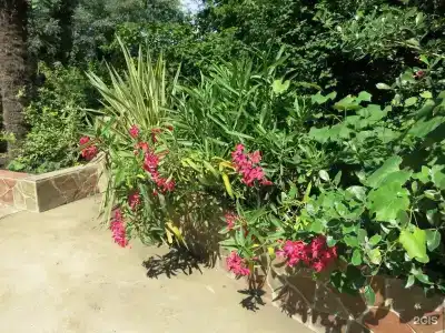 Добрый кит - 18