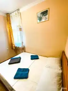 Киви и Цитрус - 52