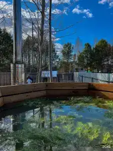 Чудесное место - 1
