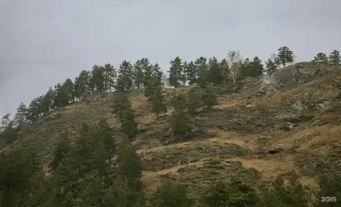Ван - 86