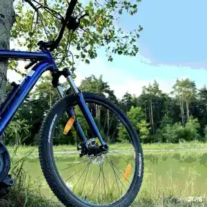 Чернолесье - 11