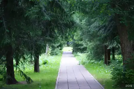 Куркино - 15