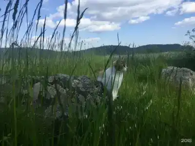 Ладога рядом - 61