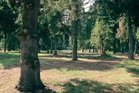 Дача - 91