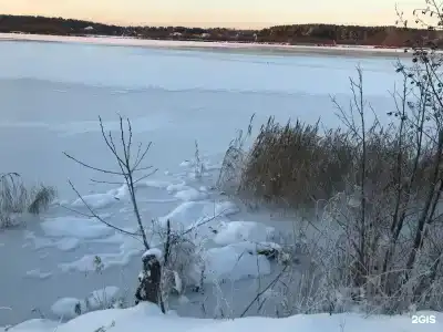 Сосны и река Волга - 42