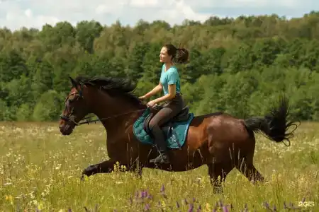 Гастроранчо Хэппи Фарм  - 13