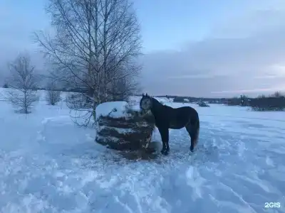 Усадьба Долгорукий - 106