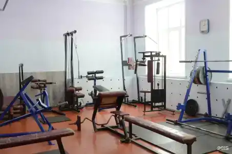 Dinamo - 24