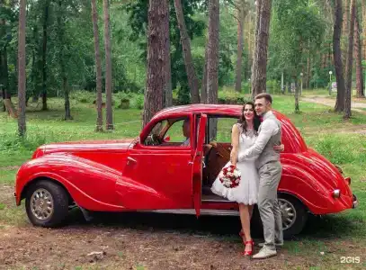 Ежи - 33