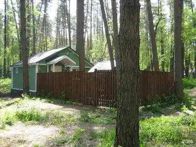 Ежи - 85