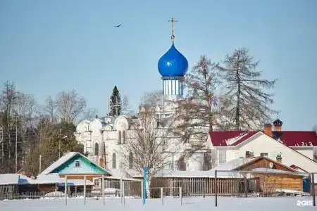 Пинежская слобода - 12