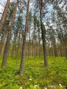 Мыс Вуокса - 37