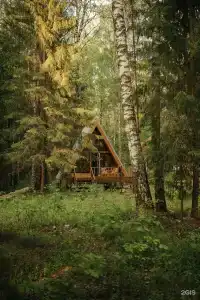 Живой Ручей - 14