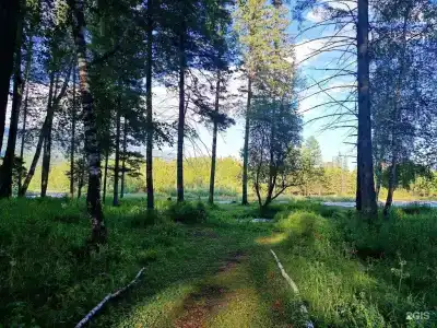 Заимка Камза - 47