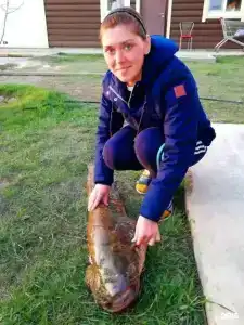 Радуга - 54
