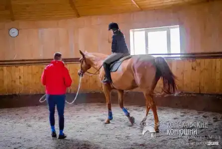Загородный отель Konakoff в Сажино - 67