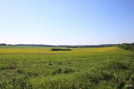 Ларди - 24