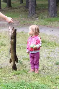 Янисъярви - 59