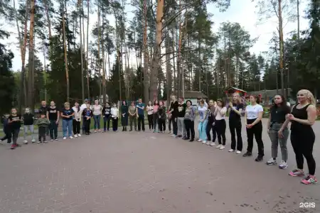 Спутник - 29