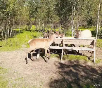 Халамеево - 16